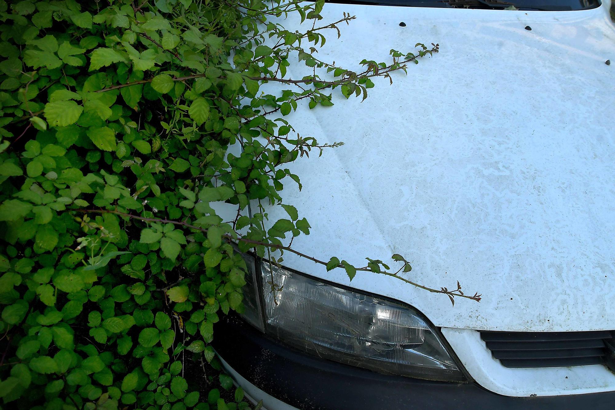 A natureza colle espazo.